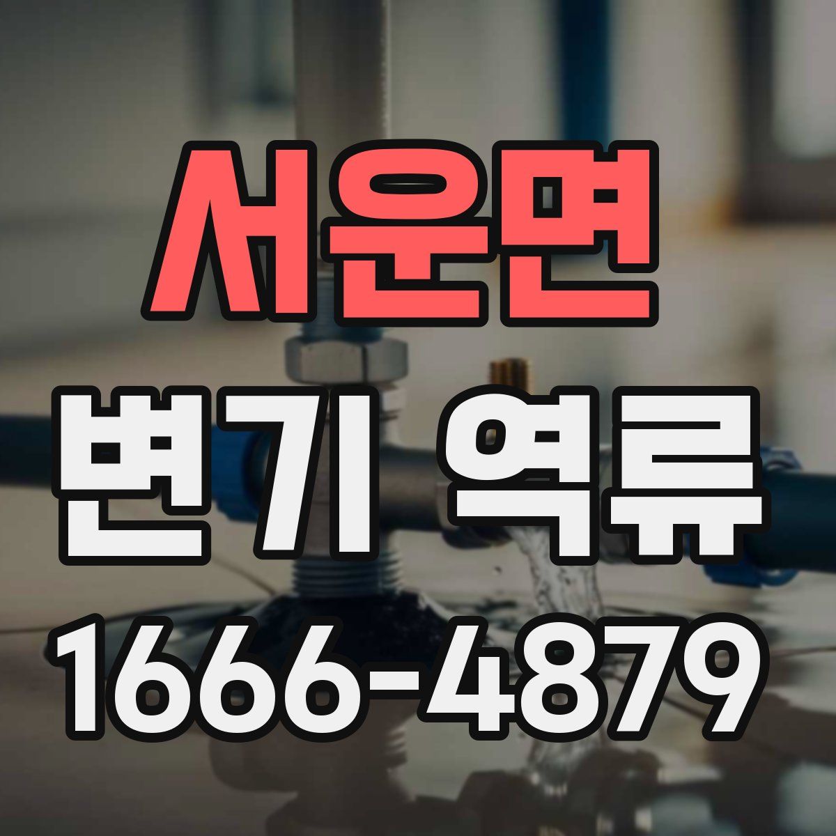 서운면 변기 역류