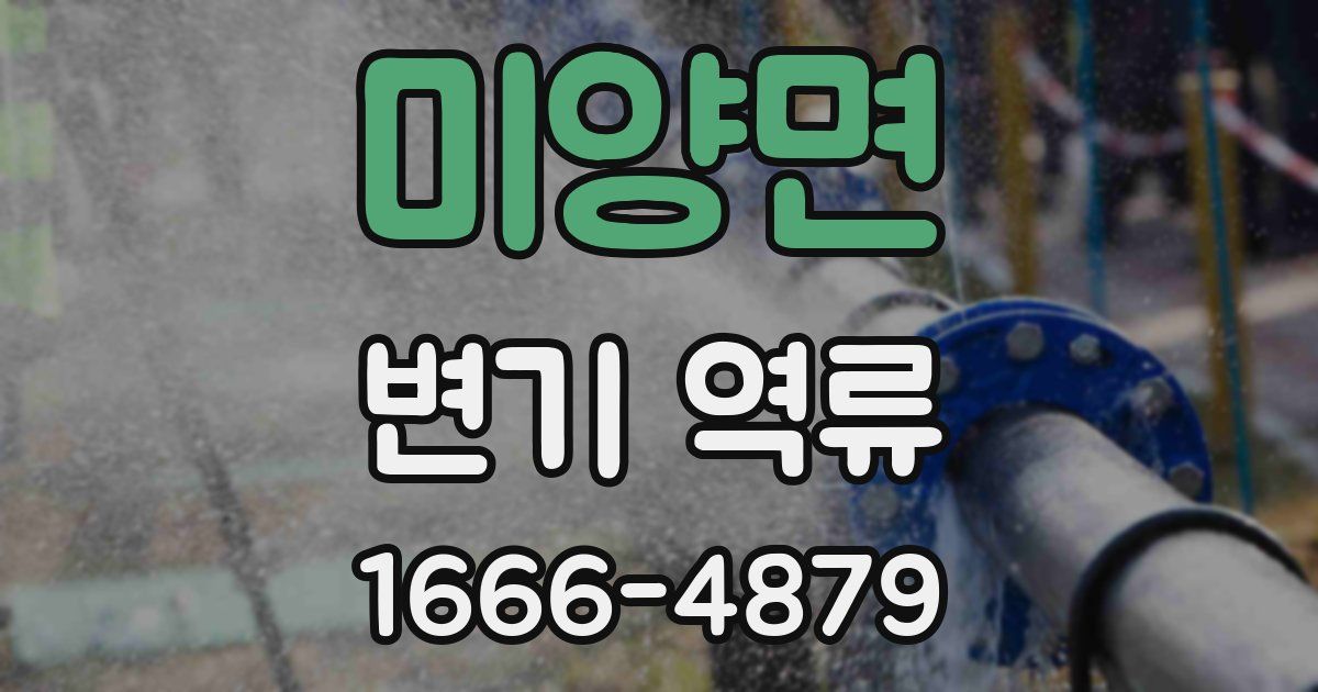 미양면 변기 역류