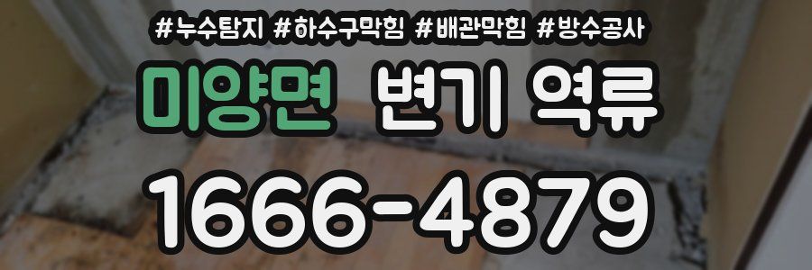 미양면 변기 역류