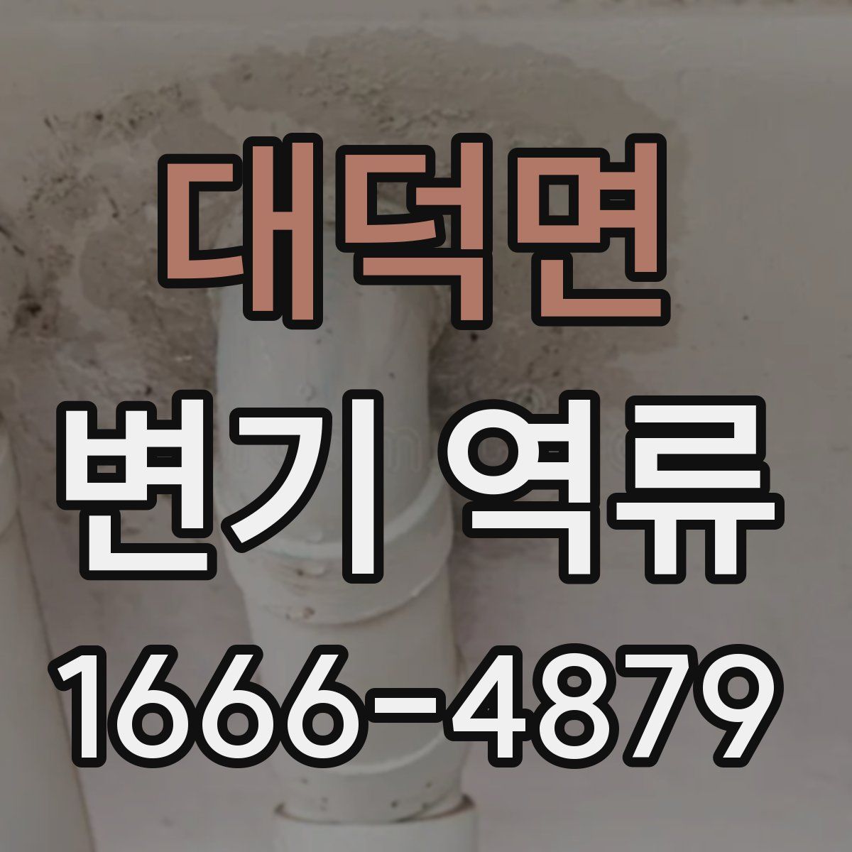 대덕면 변기 역류