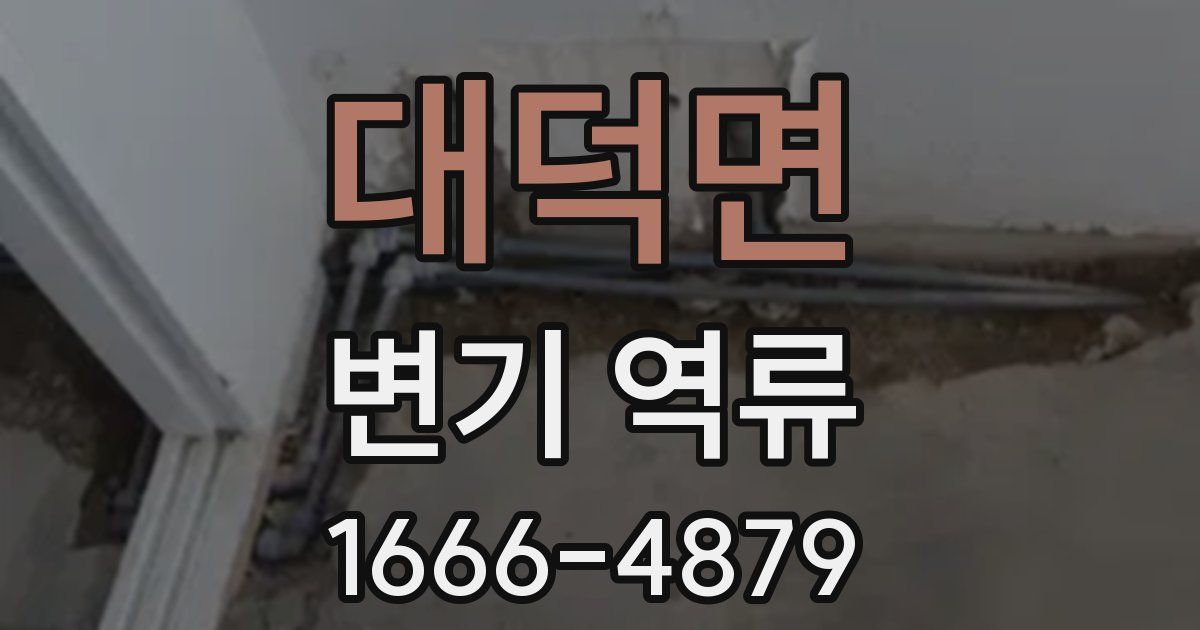 대덕면 변기 역류