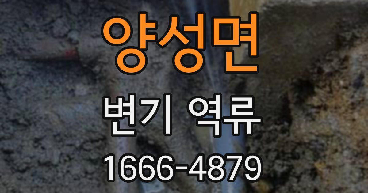 양성면 변기 역류