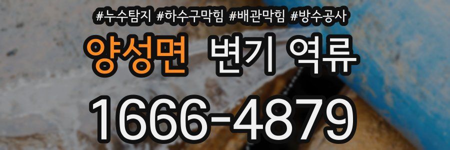 양성면 변기 역류