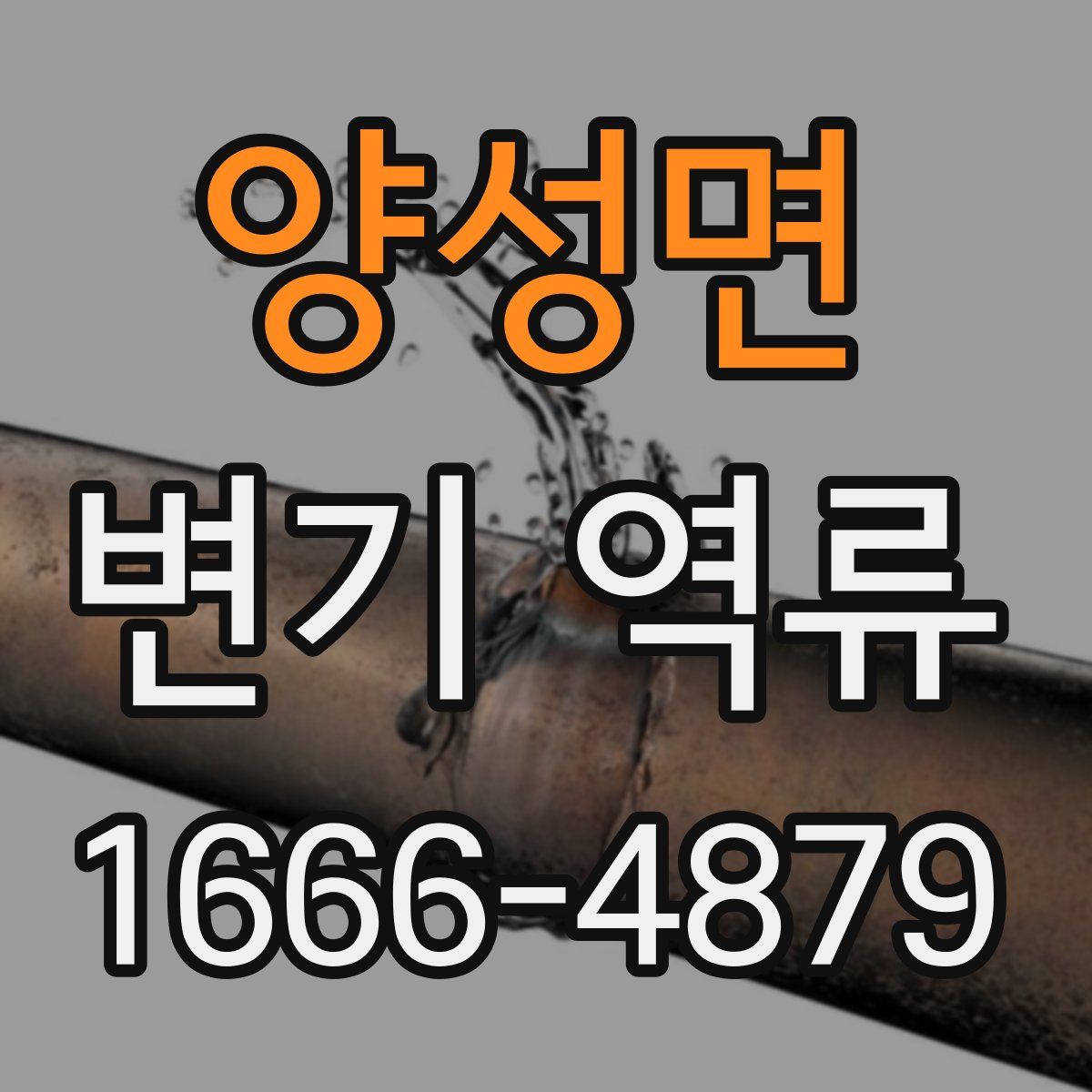 양성면 변기 역류