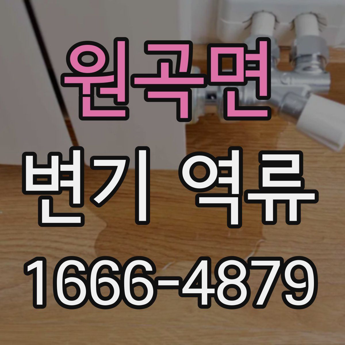 원곡면 변기 역류