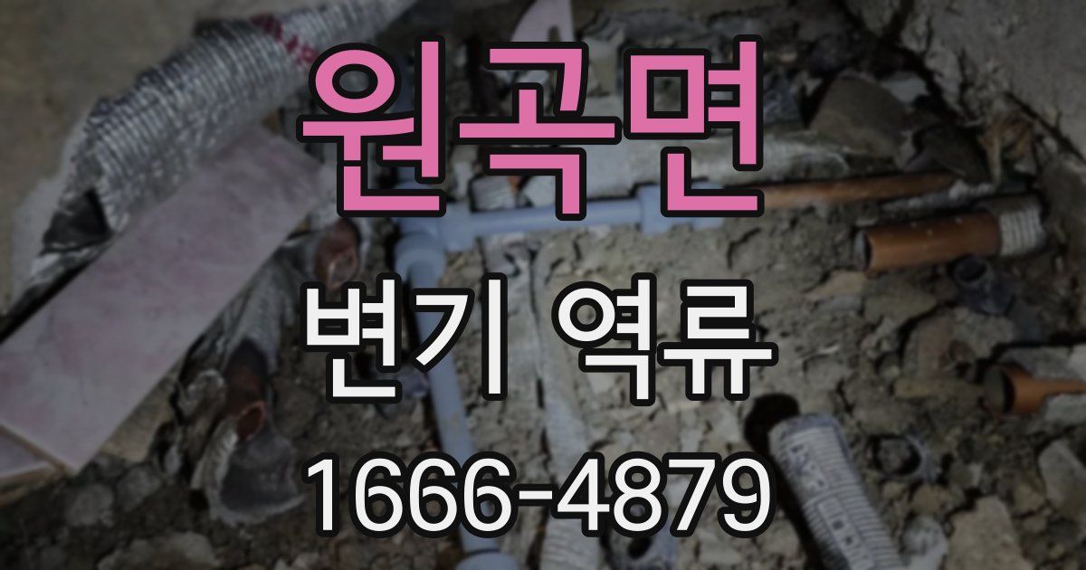원곡면 변기 역류