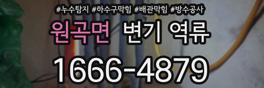 원곡면 변기 역류