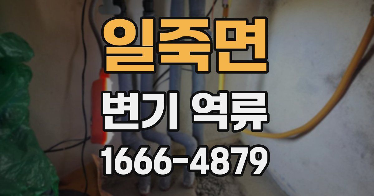 일죽면 변기 역류