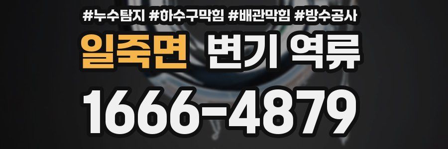 일죽면 변기 역류
