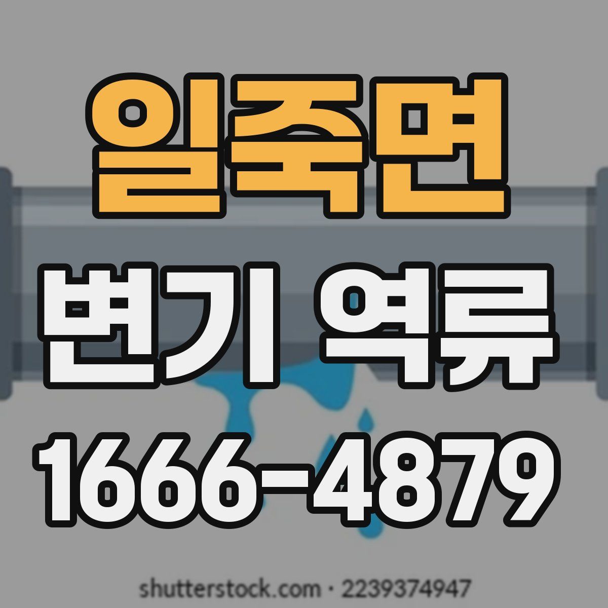 일죽면 변기 역류
