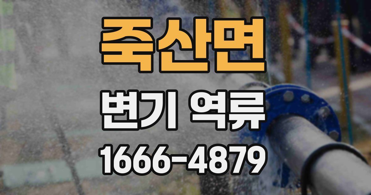 죽산면 변기 역류