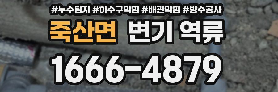 죽산면 변기 역류