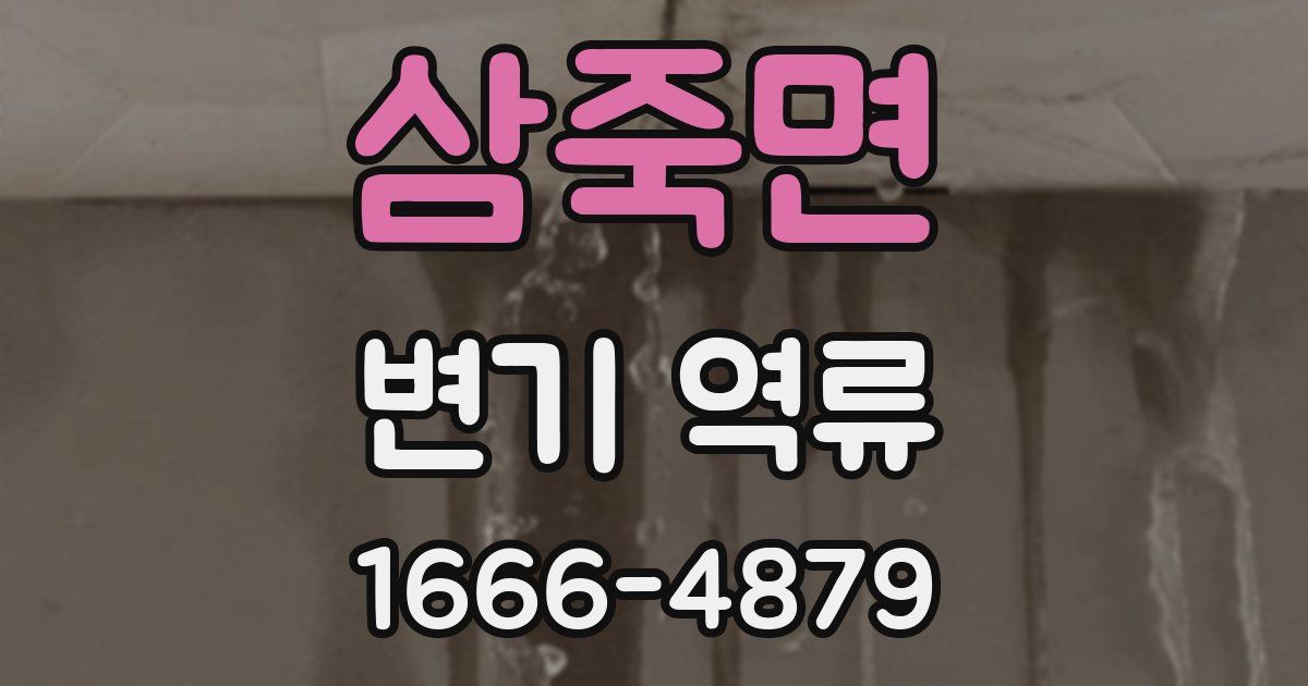 삼죽면 변기 역류