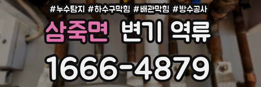 삼죽면 변기 역류