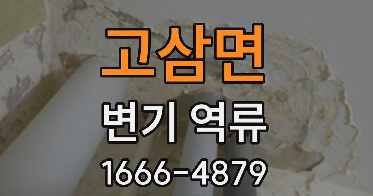 고삼면 변기 역류