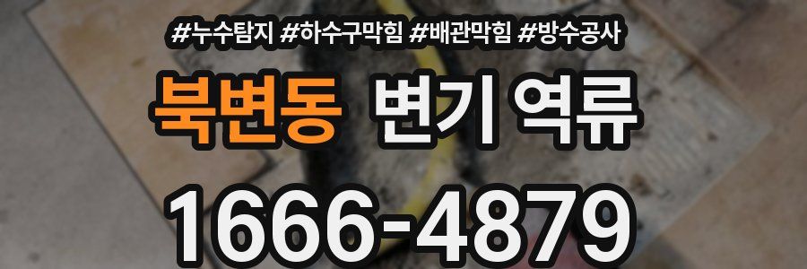 북변동 변기 역류