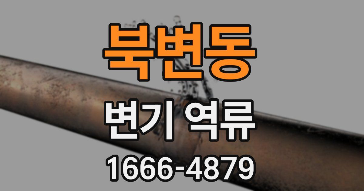 북변동 변기 역류