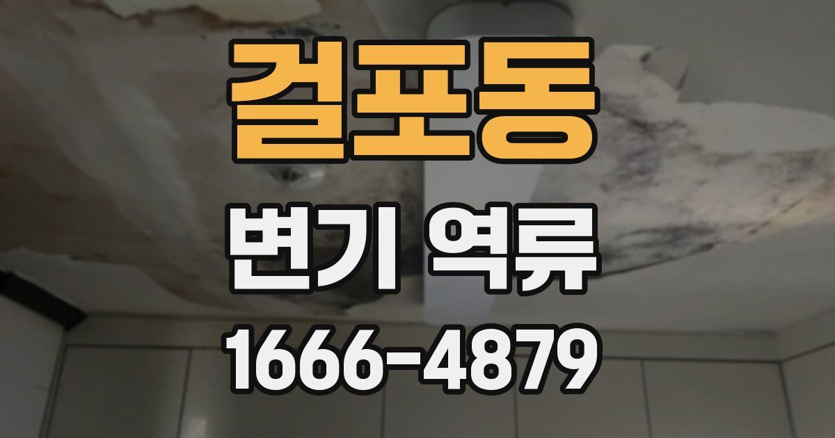 걸포동 변기 역류