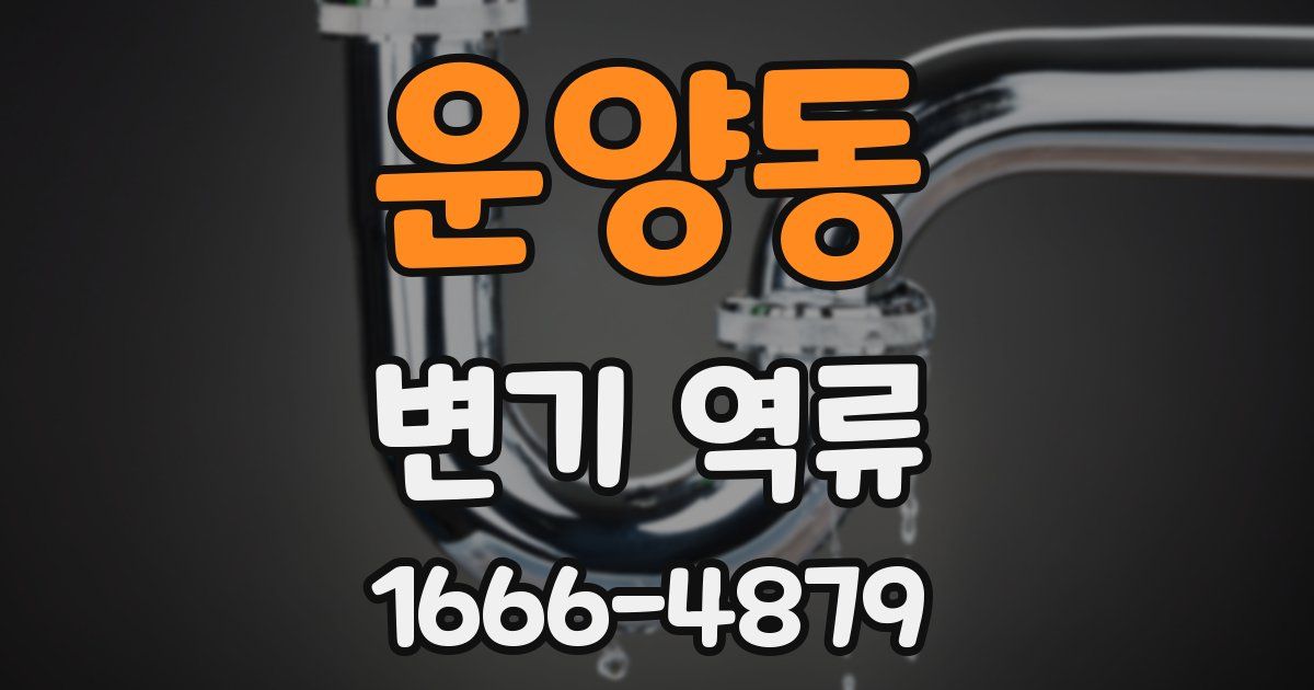운양동 변기 역류