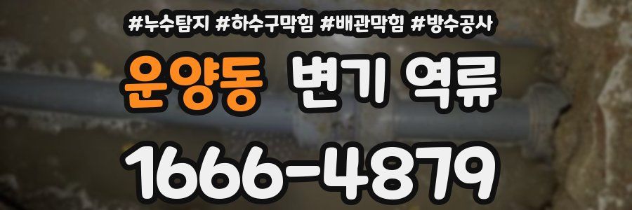 운양동 변기 역류