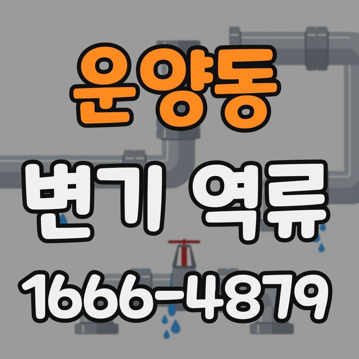 운양동 변기 역류