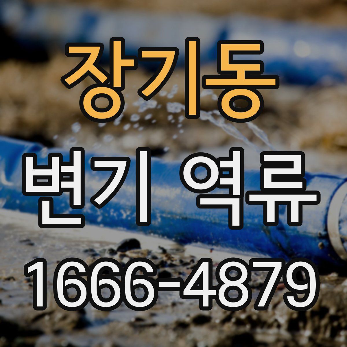 장기동 변기 역류