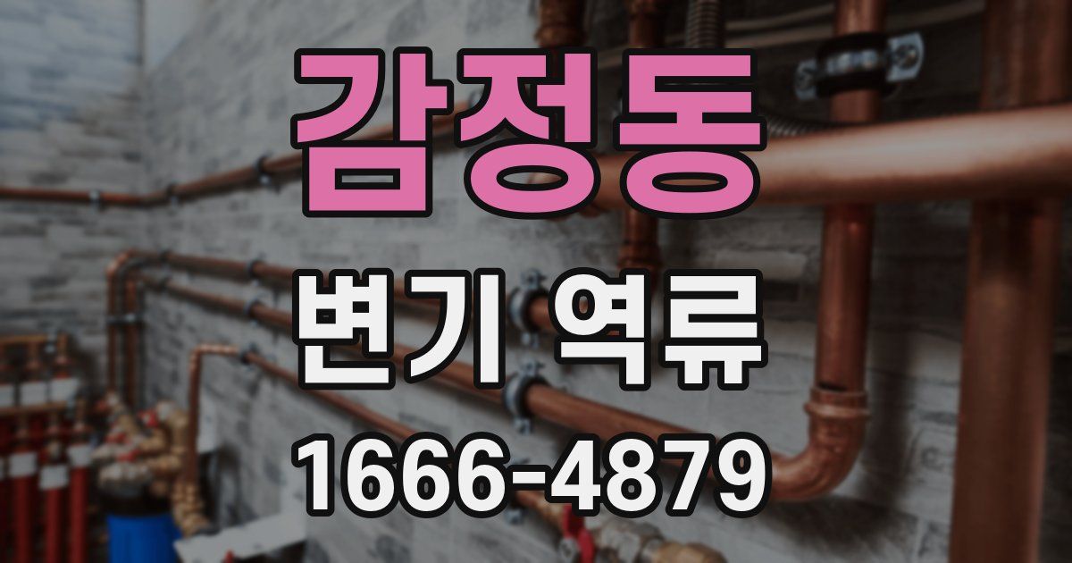 감정동 변기 역류