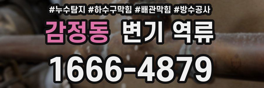 감정동 변기 역류