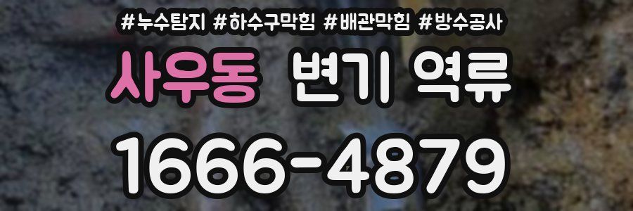 사우동 변기 역류