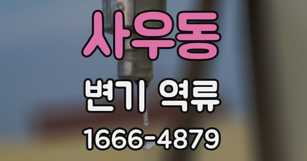사우동 변기 역류
