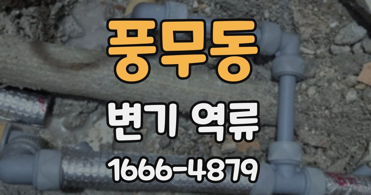 풍무동 변기 역류