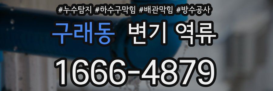구래동 변기 역류