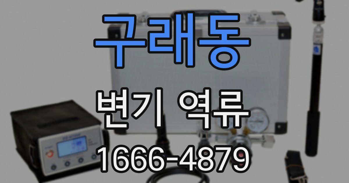 구래동 변기 역류