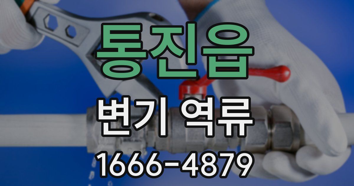 통진읍 변기 역류