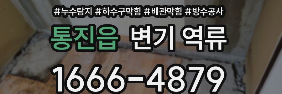 통진읍 변기 역류