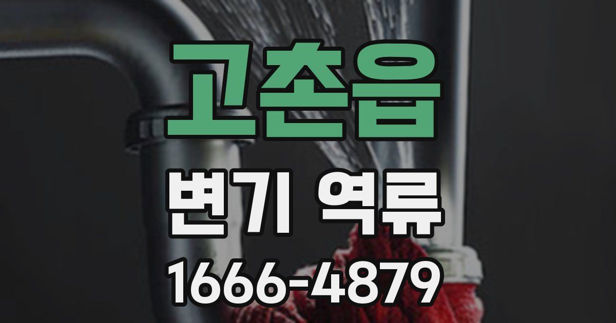 고촌읍 변기 역류