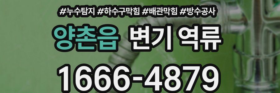 양촌읍 변기 역류