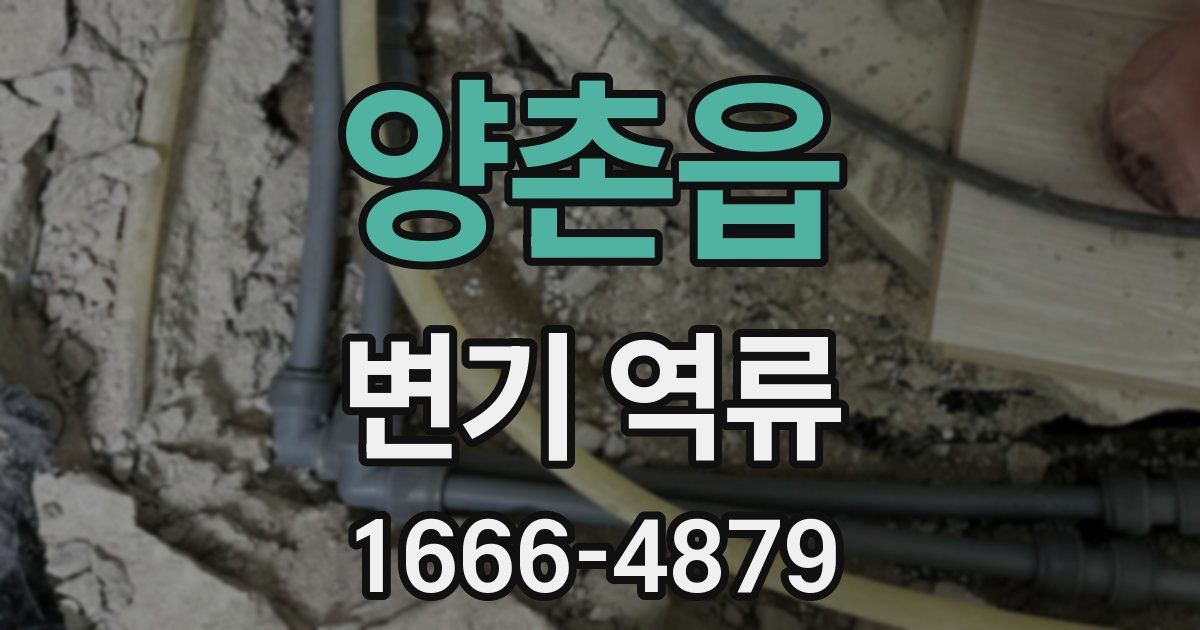 양촌읍 변기 역류