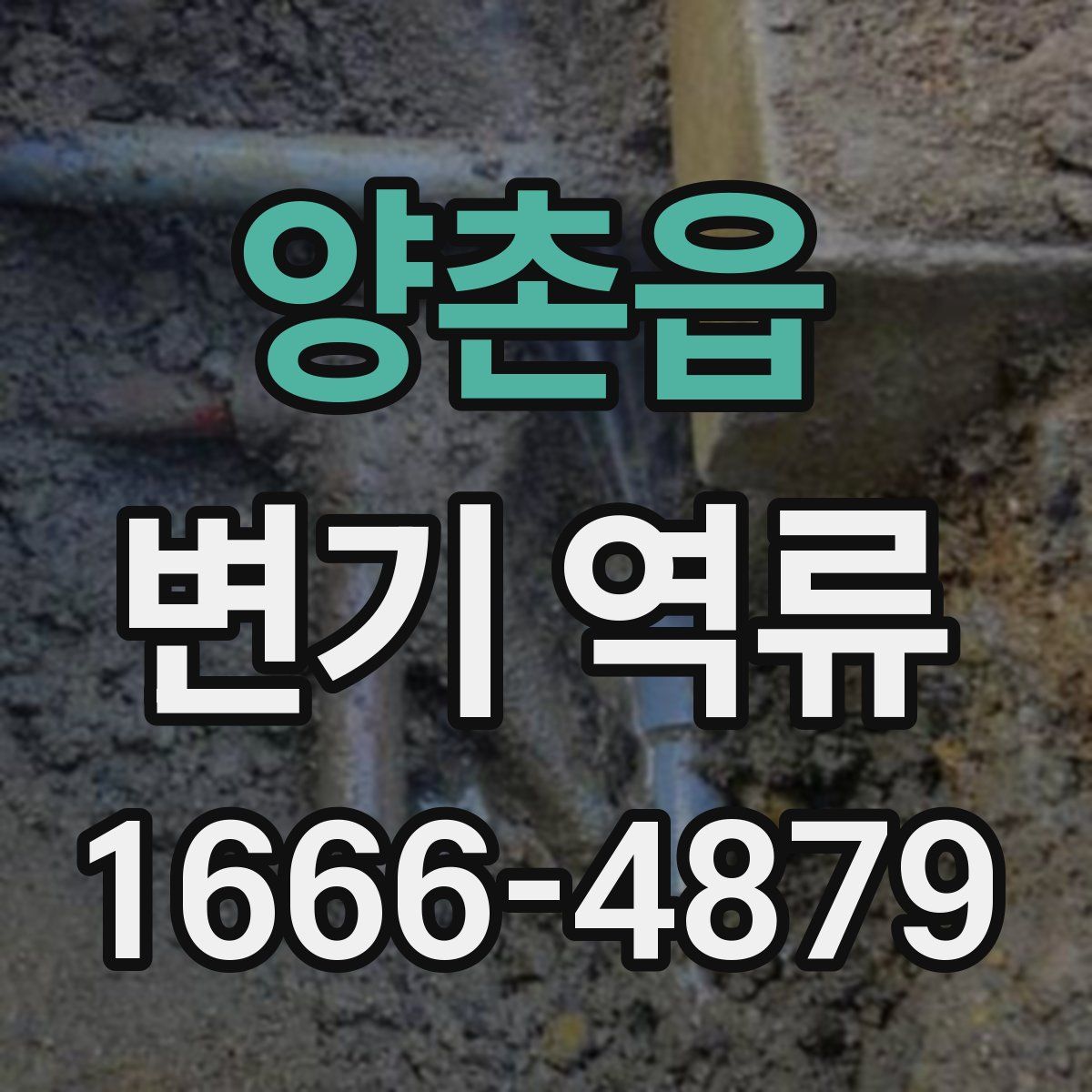 양촌읍 변기 역류