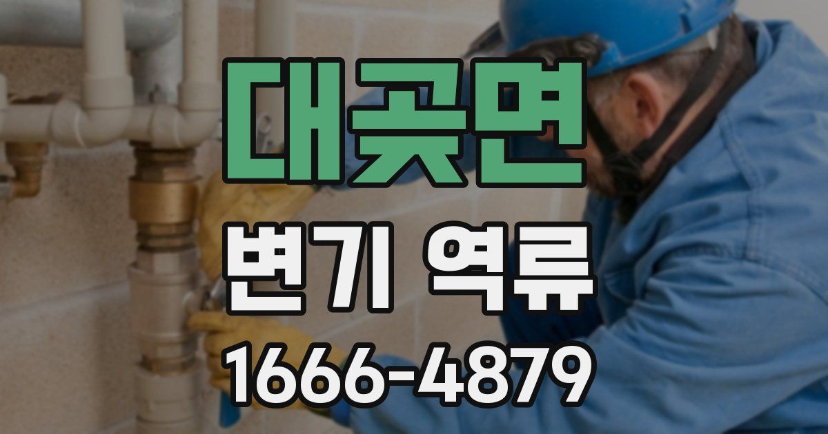 대곶면 변기 역류