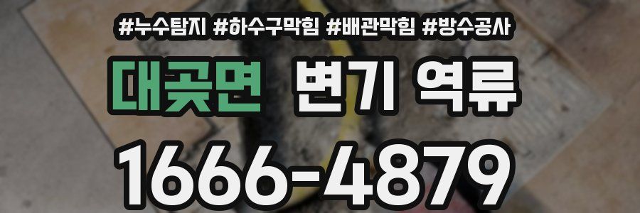 대곶면 변기 역류