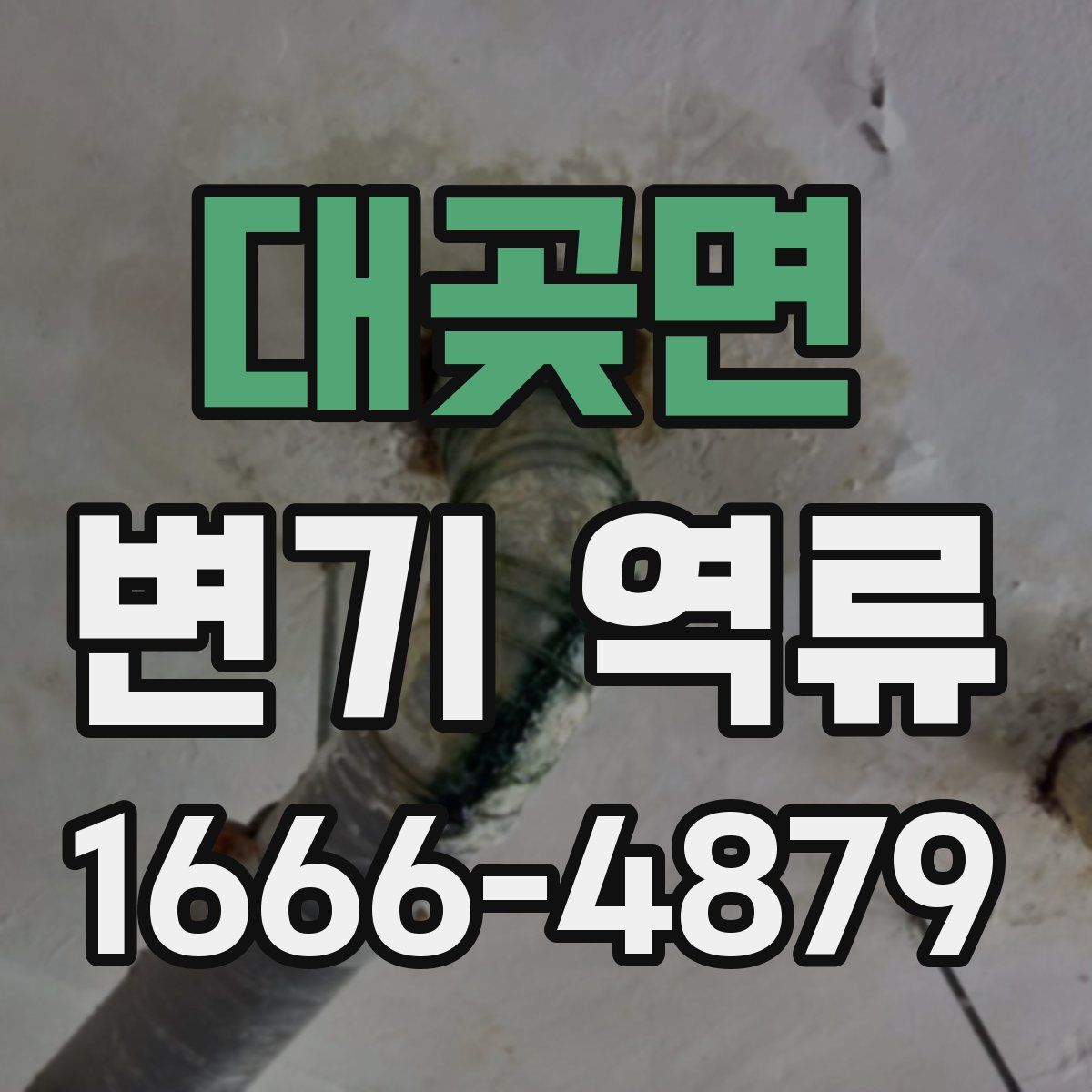 대곶면 변기 역류