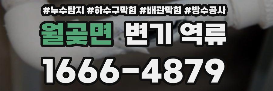월곶면 변기 역류