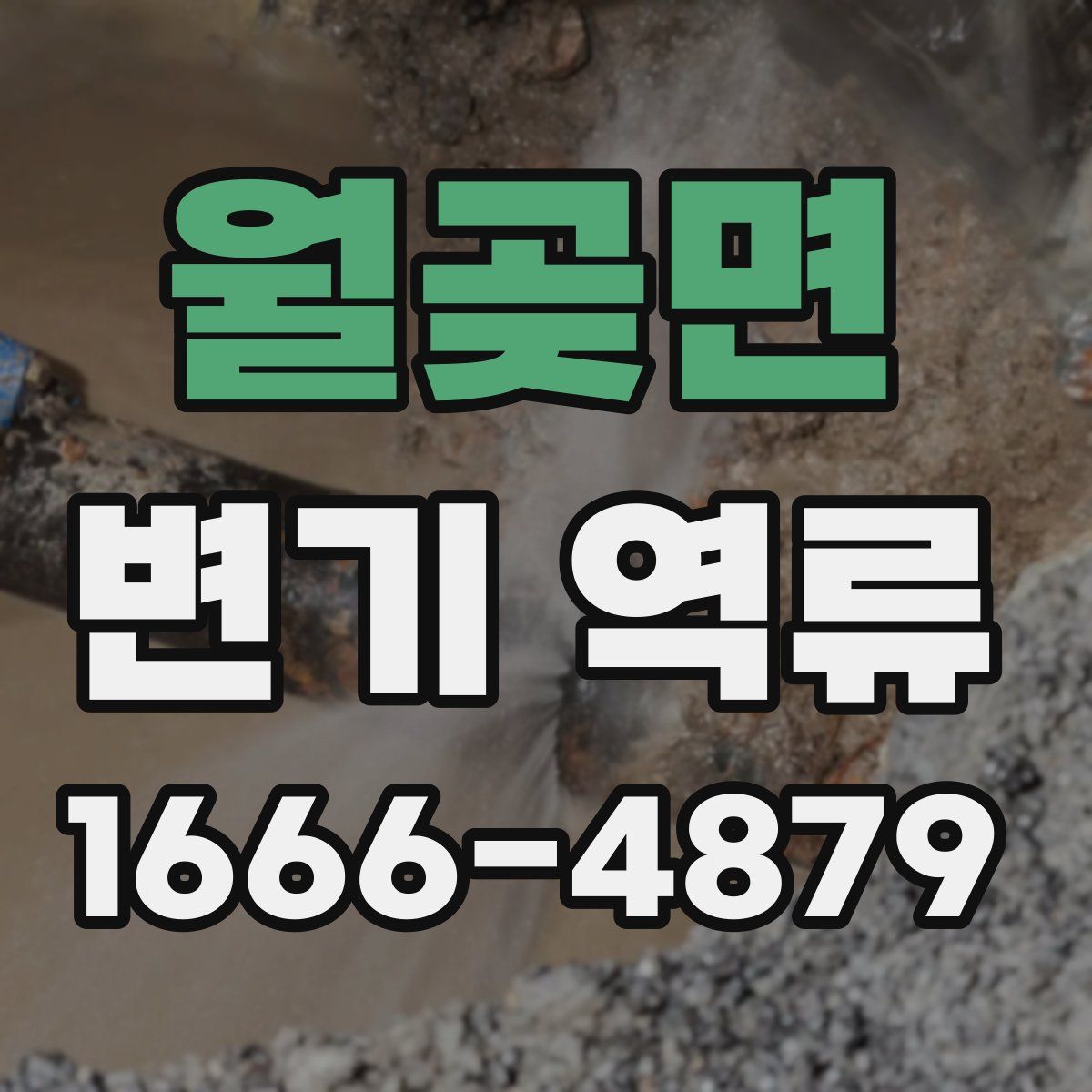 월곶면 변기 역류