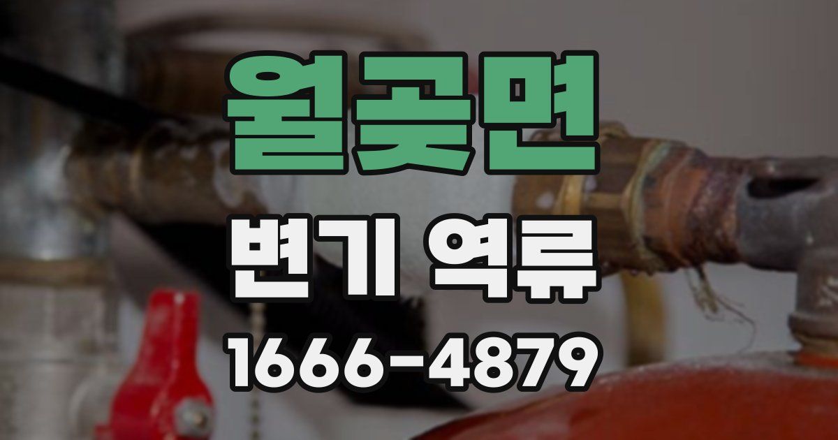 월곶면 변기 역류