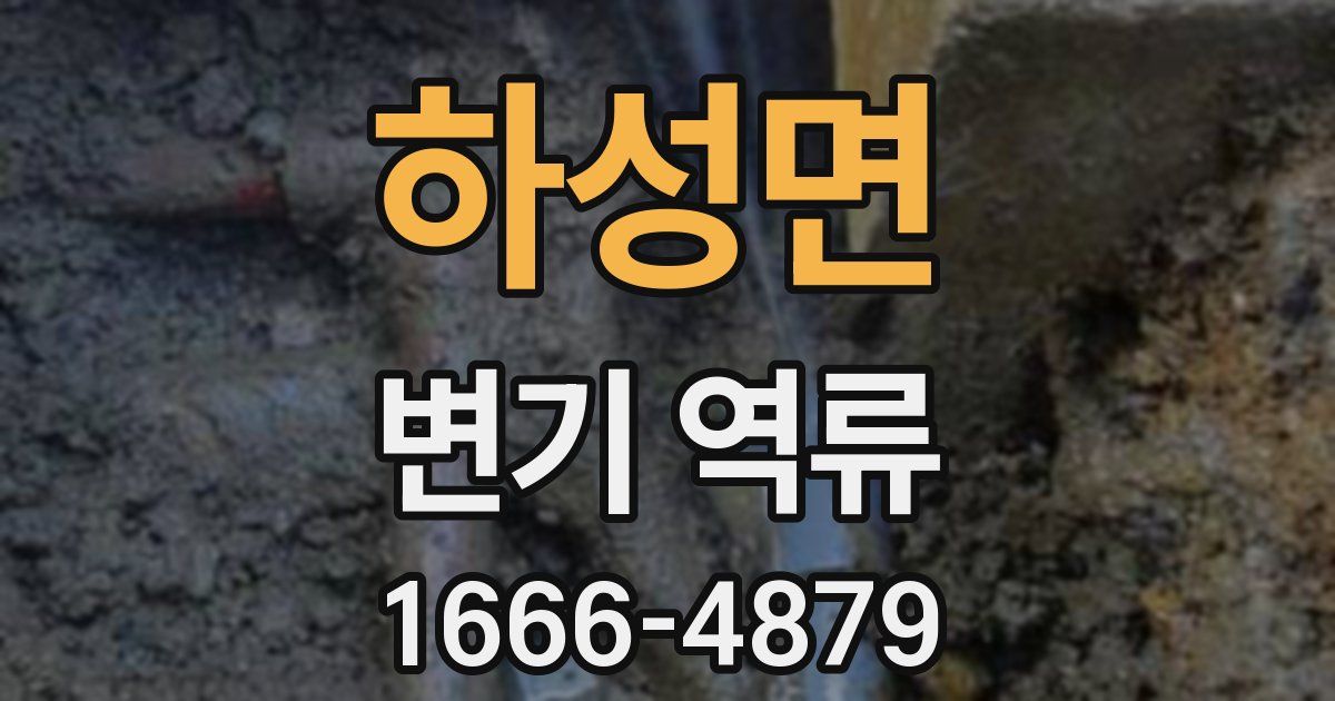 하성면 변기 역류