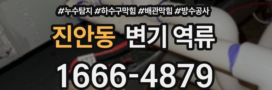 진안동 변기 역류