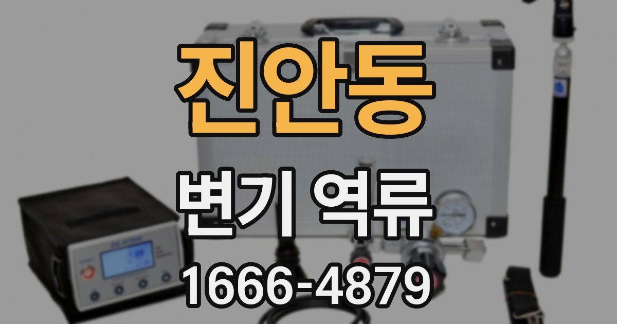 진안동 변기 역류