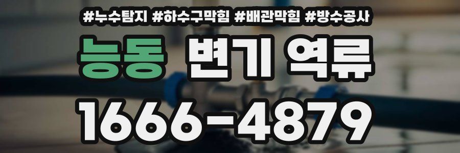 능동 변기 역류