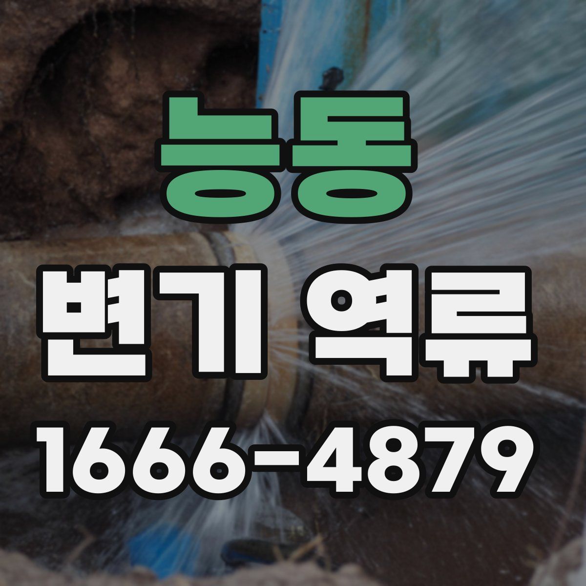능동 변기 역류